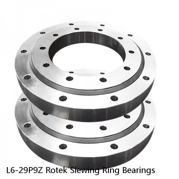 L6-29P9Z Rotek Slewing Ring Bearings