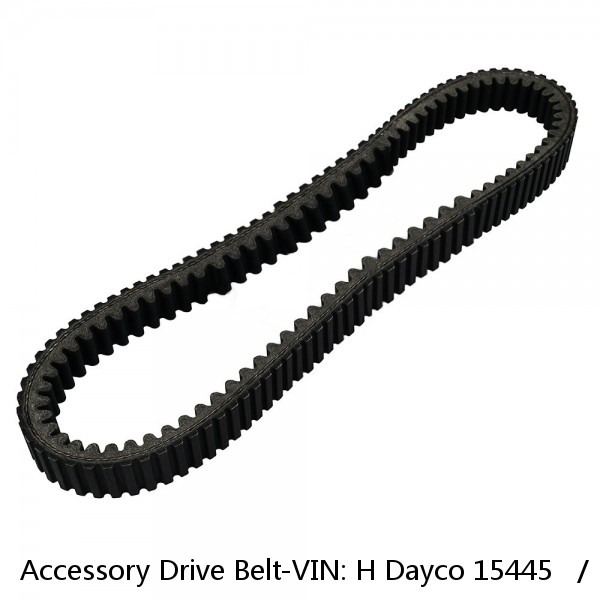 Accessory Drive Belt-VIN: H Dayco 15445   /  11A1130