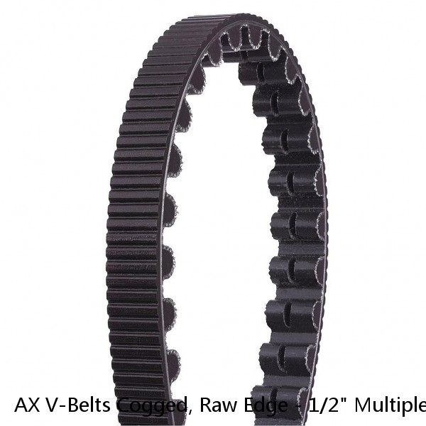 AX V-Belts Cogged, Raw Edge - 1/2" Multiple Lengths - Any Size You Need 