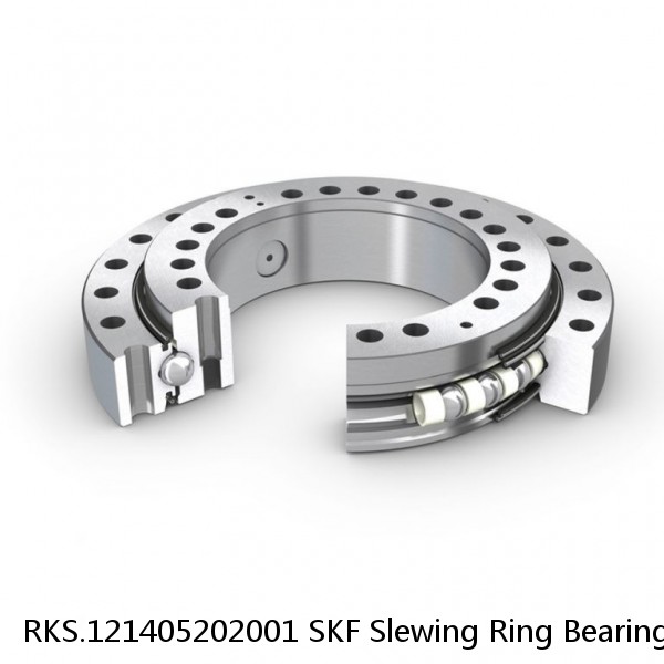 RKS.121405202001 SKF Slewing Ring Bearings