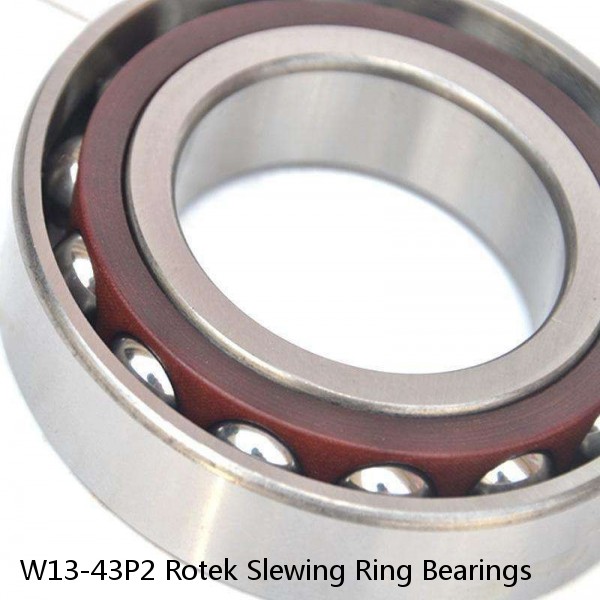 W13-43P2 Rotek Slewing Ring Bearings