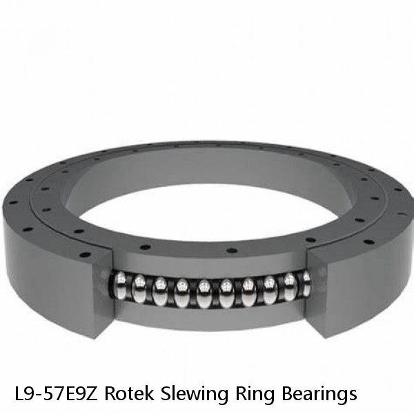 L9-57E9Z Rotek Slewing Ring Bearings