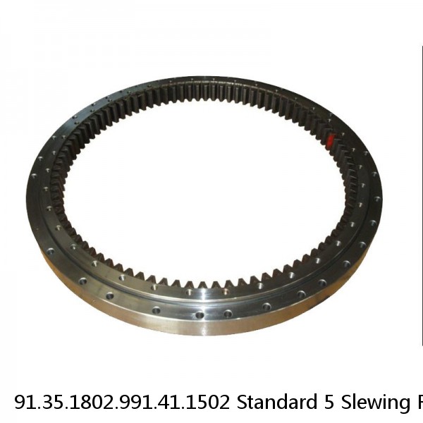 91.35.1802.991.41.1502 Standard 5 Slewing Ring Bearings