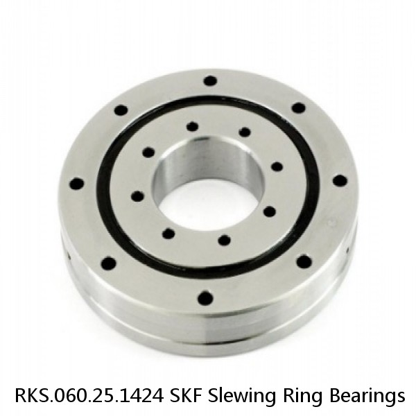 RKS.060.25.1424 SKF Slewing Ring Bearings