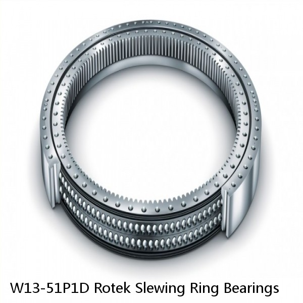 W13-51P1D Rotek Slewing Ring Bearings