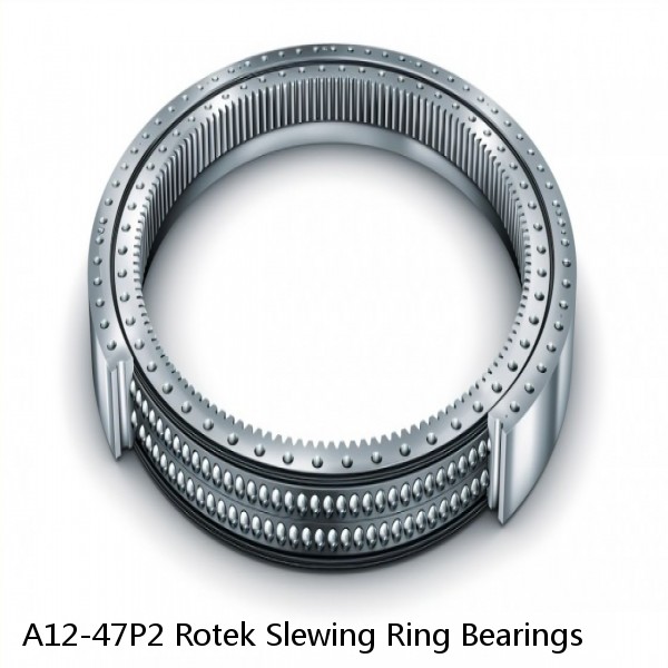 A12-47P2 Rotek Slewing Ring Bearings