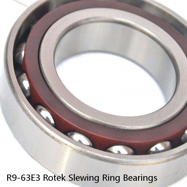 R9-63E3 Rotek Slewing Ring Bearings