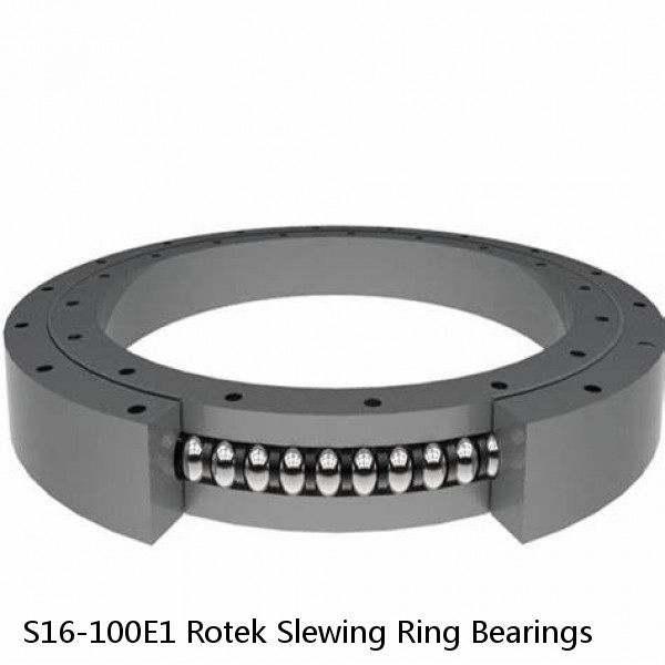 S16-100E1 Rotek Slewing Ring Bearings