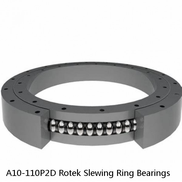 A10-110P2D Rotek Slewing Ring Bearings