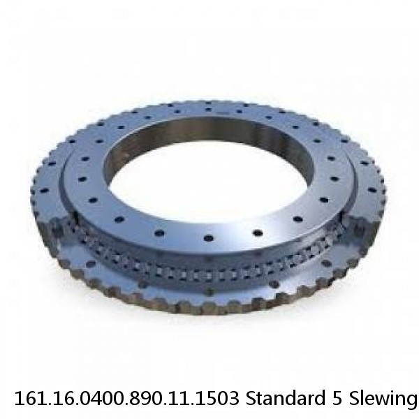 161.16.0400.890.11.1503 Standard 5 Slewing Ring Bearings