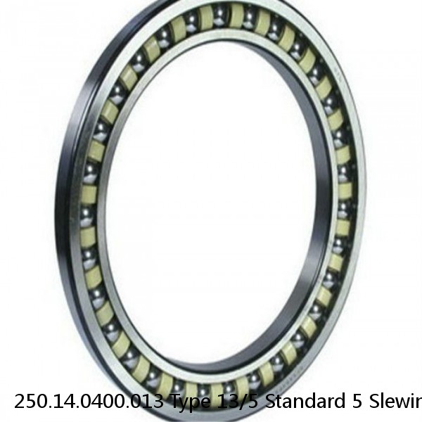 250.14.0400.013 Type 13/5 Standard 5 Slewing Ring Bearings