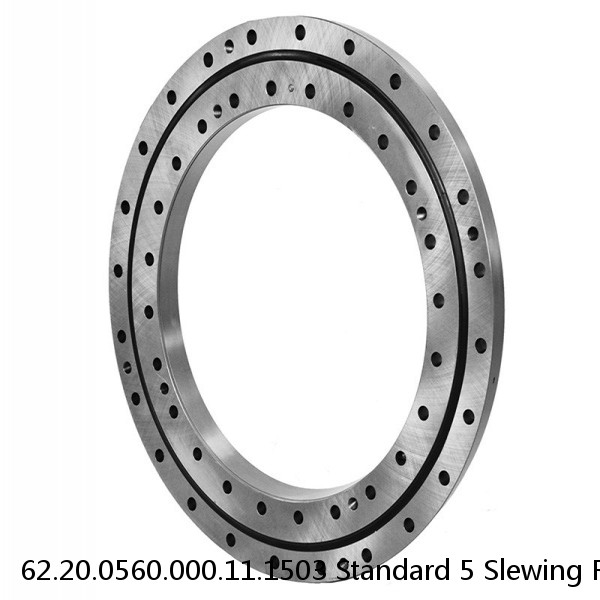 62.20.0560.000.11.1503 Standard 5 Slewing Ring Bearings