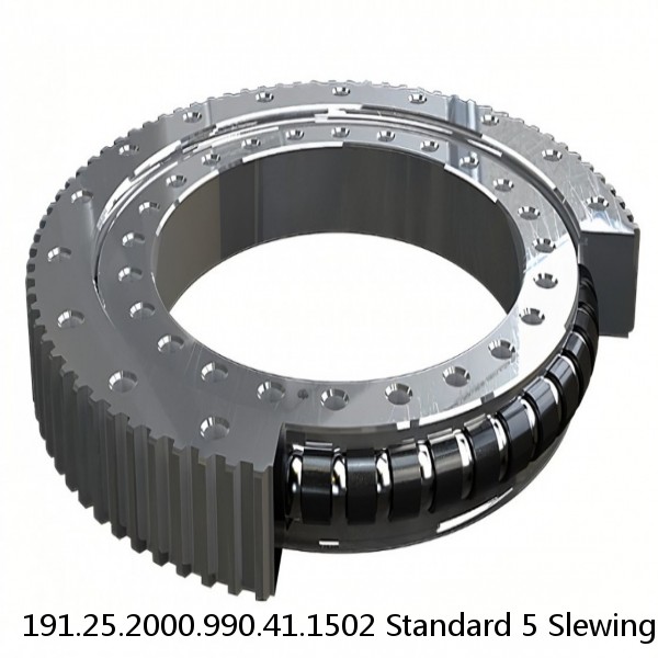 191.25.2000.990.41.1502 Standard 5 Slewing Ring Bearings