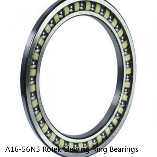 A16-56N5 Rotek Slewing Ring Bearings