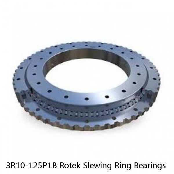 3R10-125P1B Rotek Slewing Ring Bearings