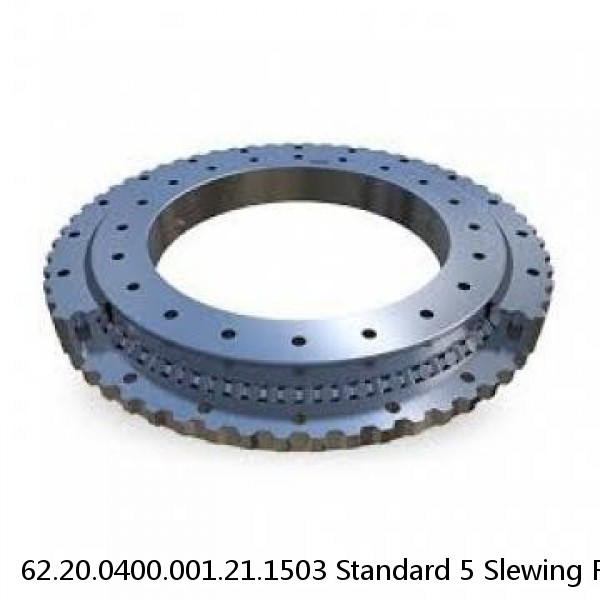 62.20.0400.001.21.1503 Standard 5 Slewing Ring Bearings