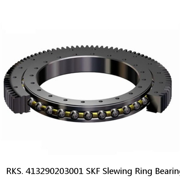 RKS. 413290203001 SKF Slewing Ring Bearings