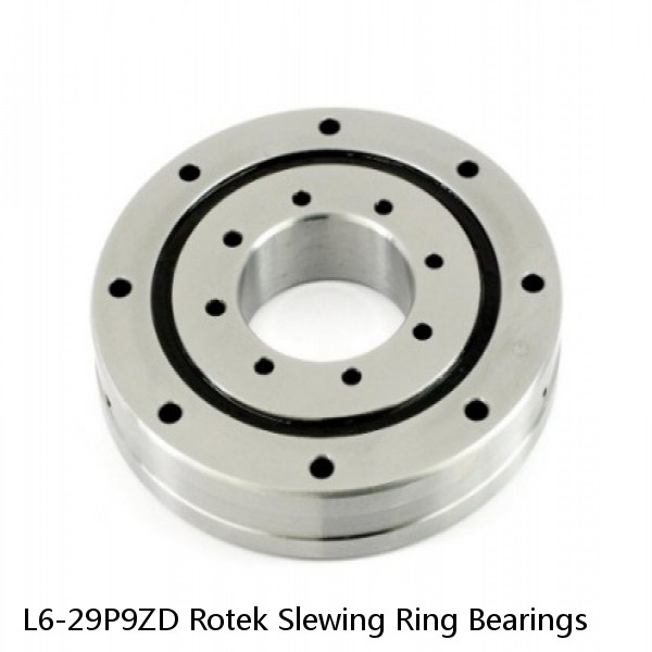 L6-29P9ZD Rotek Slewing Ring Bearings