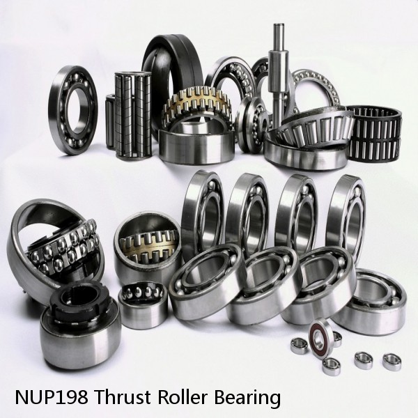 NUP198 Thrust Roller Bearing