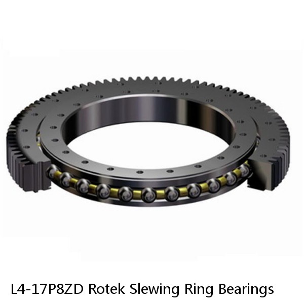 L4-17P8ZD Rotek Slewing Ring Bearings