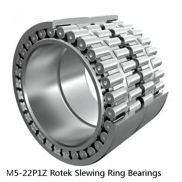 M5-22P1Z Rotek Slewing Ring Bearings