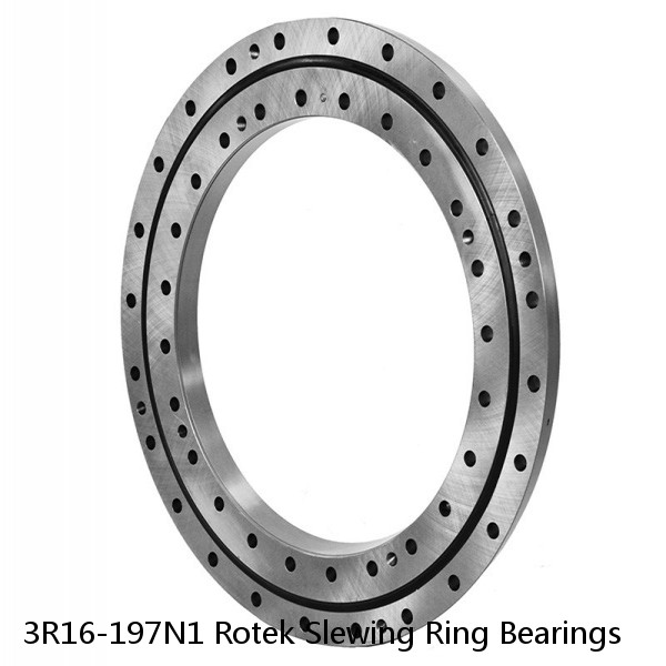 3R16-197N1 Rotek Slewing Ring Bearings