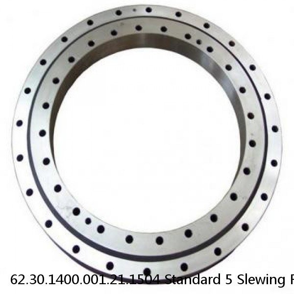 62.30.1400.001.21.1504 Standard 5 Slewing Ring Bearings