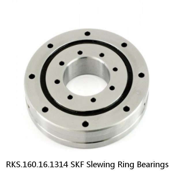 RKS.160.16.1314 SKF Slewing Ring Bearings