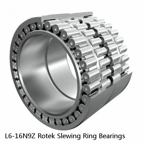 L6-16N9Z Rotek Slewing Ring Bearings