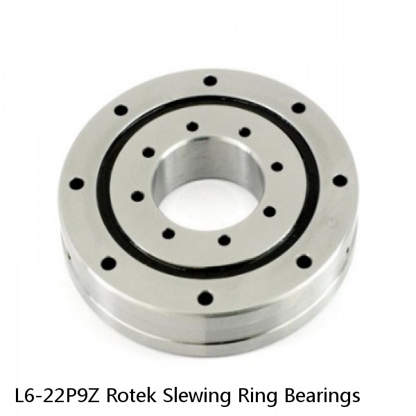 L6-22P9Z Rotek Slewing Ring Bearings