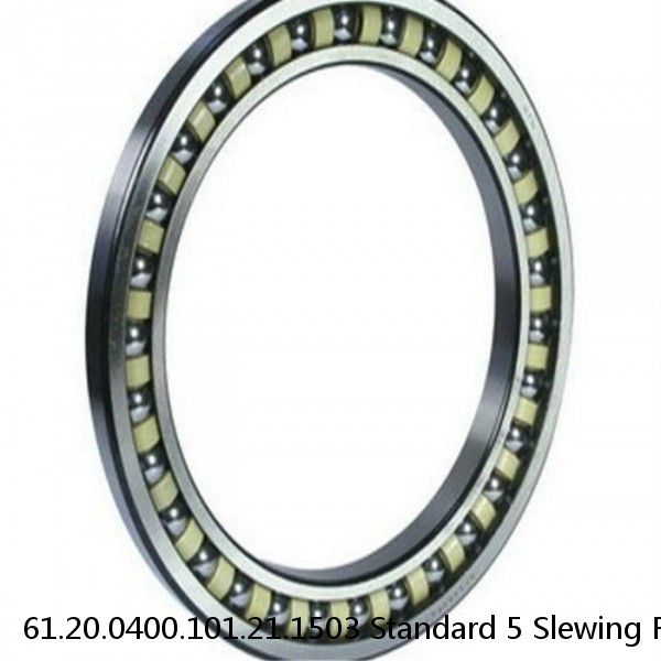 61.20.0400.101.21.1503 Standard 5 Slewing Ring Bearings