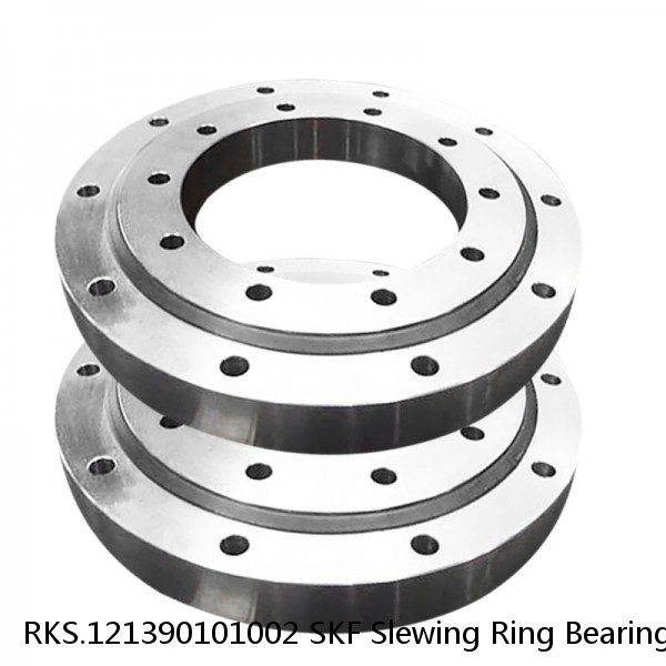 RKS.121390101002 SKF Slewing Ring Bearings