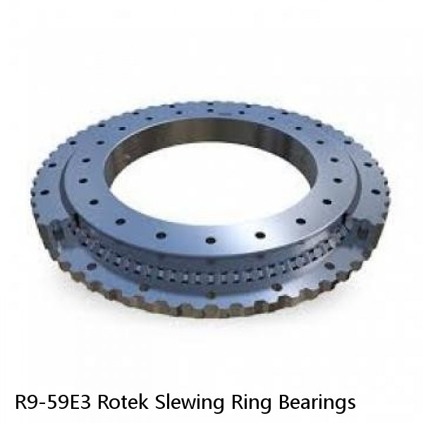 R9-59E3 Rotek Slewing Ring Bearings