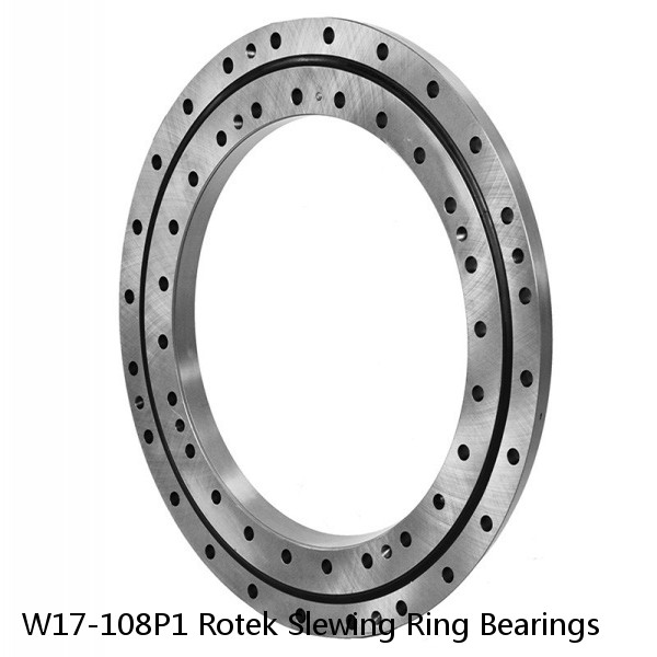 W17-108P1 Rotek Slewing Ring Bearings