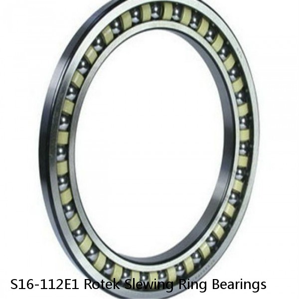 S16-112E1 Rotek Slewing Ring Bearings