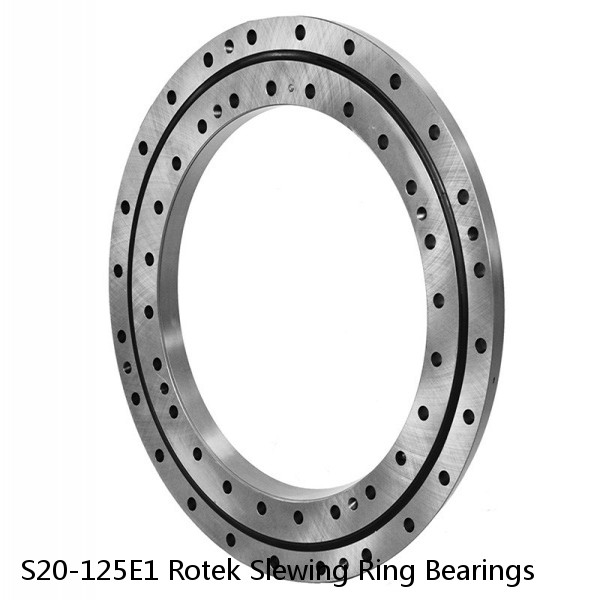 S20-125E1 Rotek Slewing Ring Bearings