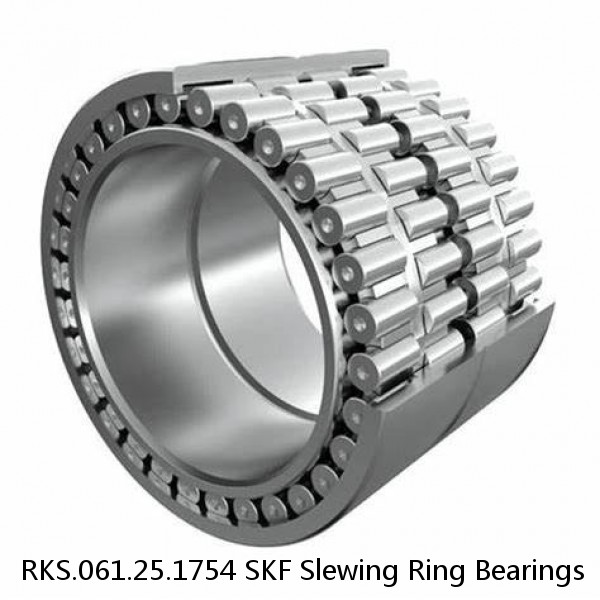 RKS.061.25.1754 SKF Slewing Ring Bearings