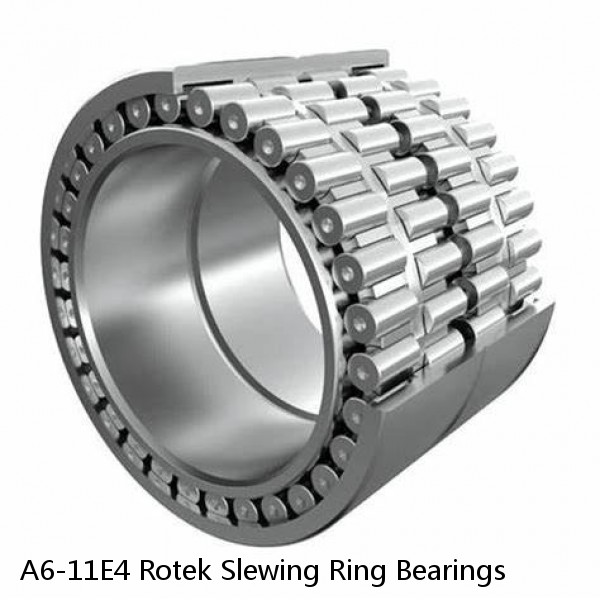 A6-11E4 Rotek Slewing Ring Bearings