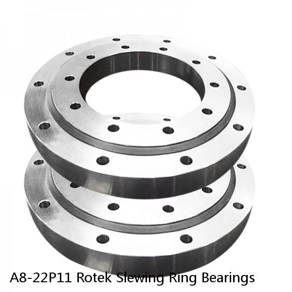 A8-22P11 Rotek Slewing Ring Bearings