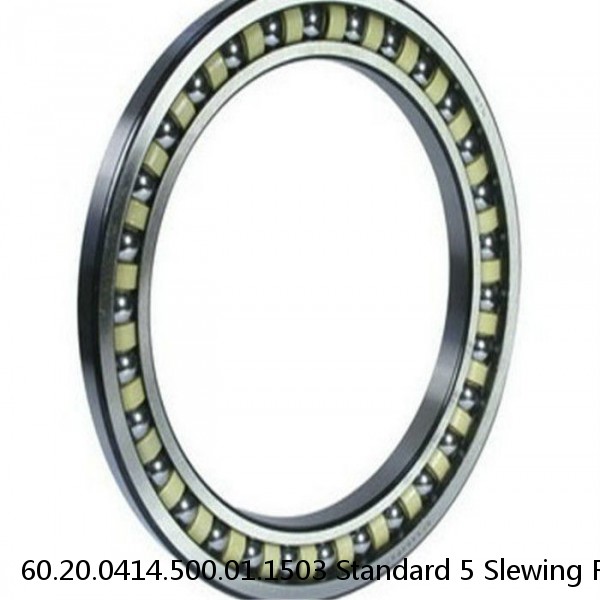 60.20.0414.500.01.1503 Standard 5 Slewing Ring Bearings