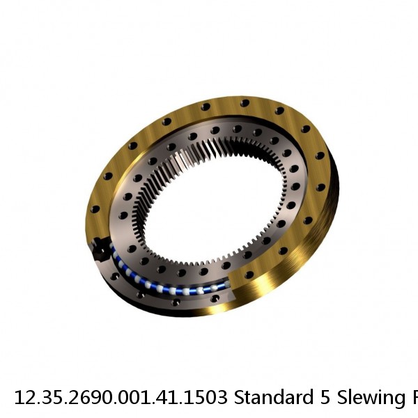 12.35.2690.001.41.1503 Standard 5 Slewing Ring Bearings