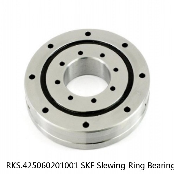 RKS.425060201001 SKF Slewing Ring Bearings