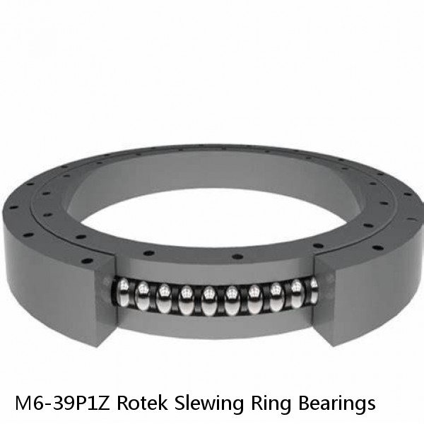 M6-39P1Z Rotek Slewing Ring Bearings