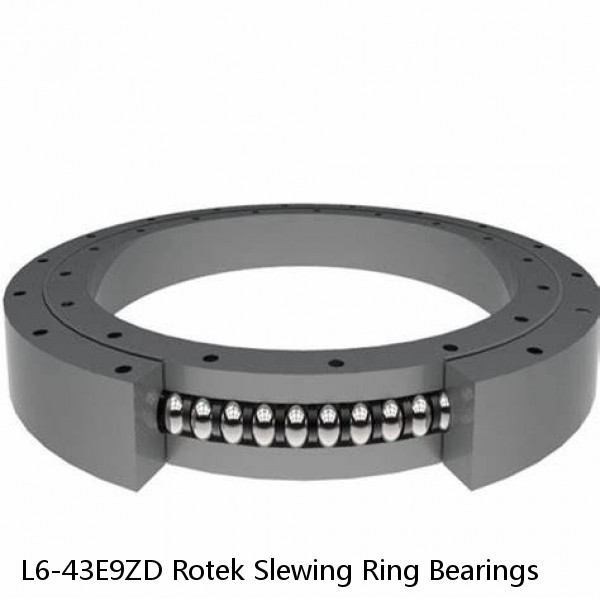 L6-43E9ZD Rotek Slewing Ring Bearings