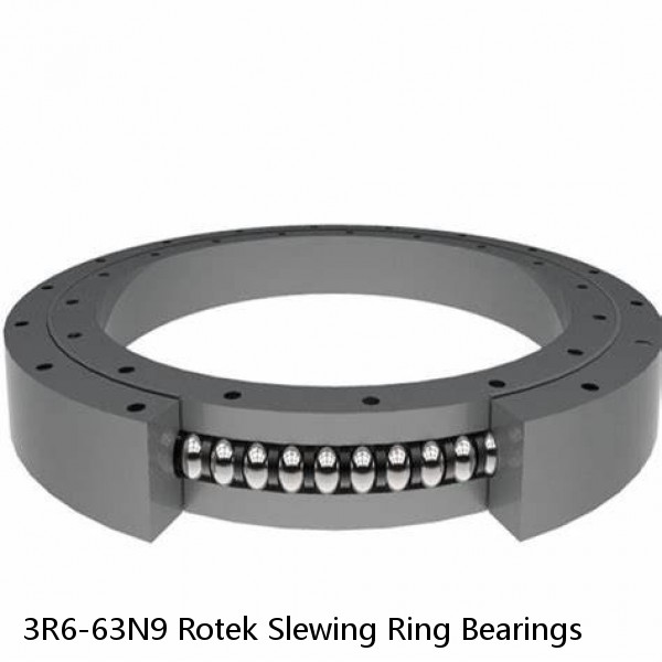 3R6-63N9 Rotek Slewing Ring Bearings