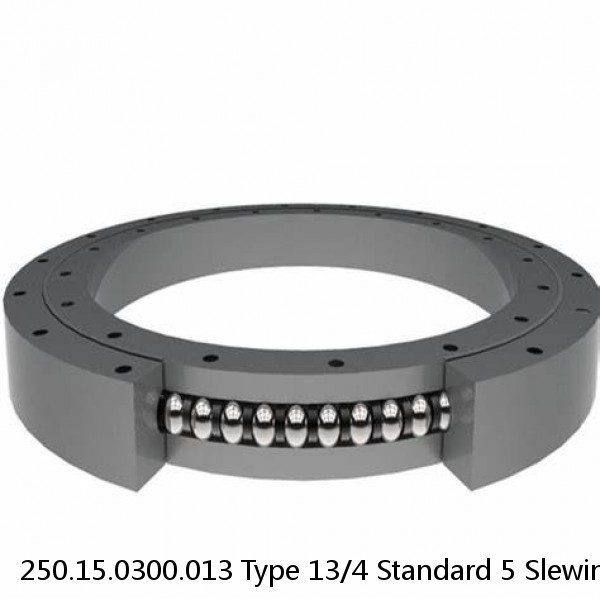 250.15.0300.013 Type 13/4 Standard 5 Slewing Ring Bearings