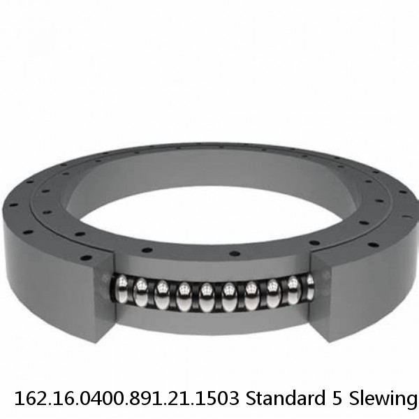 162.16.0400.891.21.1503 Standard 5 Slewing Ring Bearings