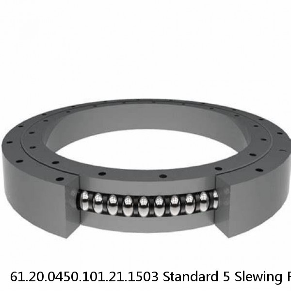 61.20.0450.101.21.1503 Standard 5 Slewing Ring Bearings