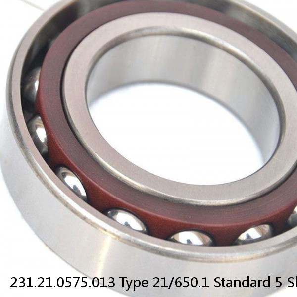 231.21.0575.013 Type 21/650.1 Standard 5 Slewing Ring Bearings