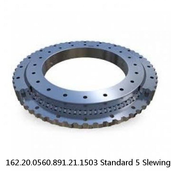 162.20.0560.891.21.1503 Standard 5 Slewing Ring Bearings